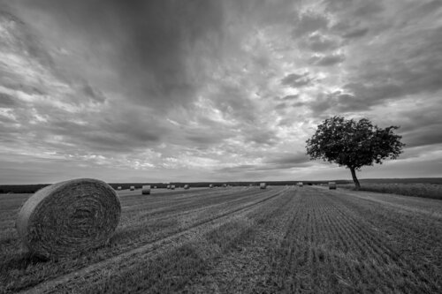 Perspective Rurale di Philippe GUENIN, Fotografia in vendita su Singulart