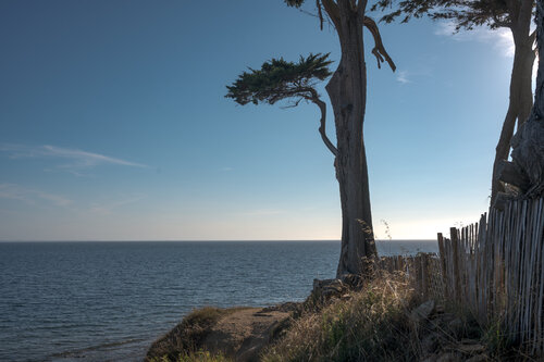 Insondable Horizon di Philippe GUENIN, Fotografia in vendita su Singulart