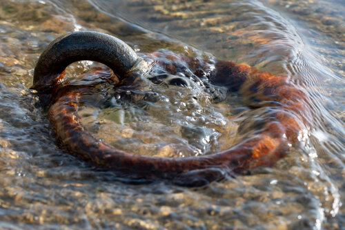 Mouvement immobile by Philippe GUENIN, Photography for Sale on Singulart
