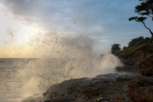 La Vague et la Lumière di Philippe GUENIN, Fotografia in vendita su Singulart