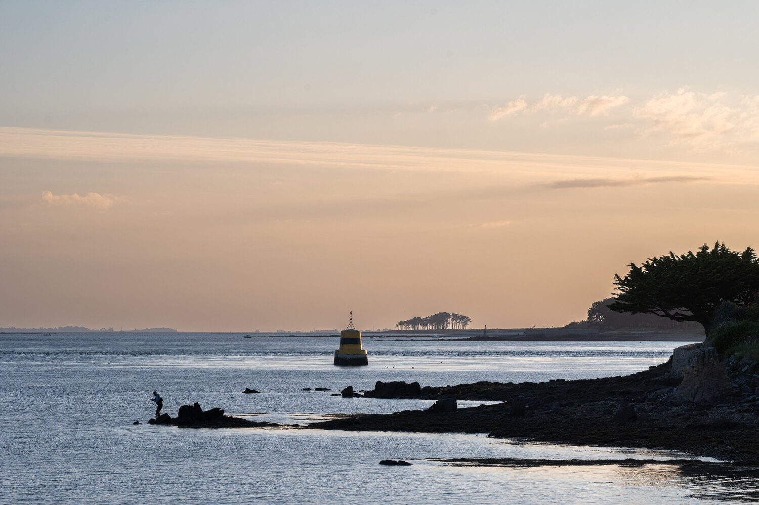 Pastels et Silhouettes Philippe GUENIN