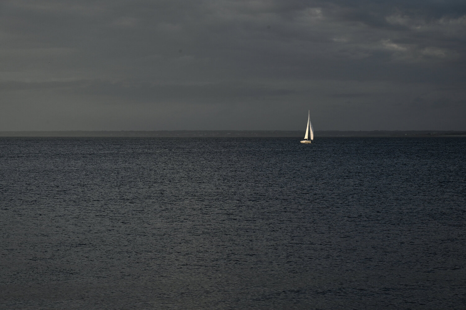 Voile de Cosmos Philippe GUENIN