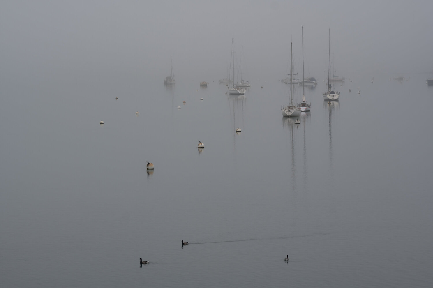 Mouillage Onirique Philippe GUENIN