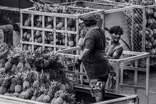 The Pineapple Man von Olya Hill, Fotografie kaufen auf Singulart