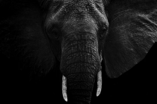 The Memory Of Earth di Olya Hill, Fotografia in vendita su Singulart