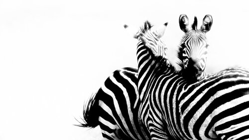 Shape of Trust by Olya Hill, Photography for Sale on Singulart