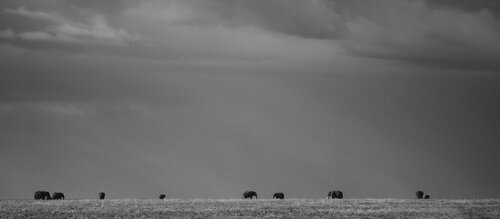 Between Earth and Eternity di Olya Hill, Fotografia in vendita su Singulart