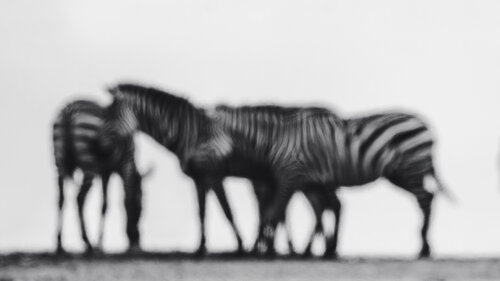 Fractured Reality von Olya Hill, Fotografie kaufen auf Singulart