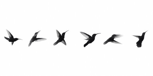 Anatomy of Freedom von Olya Hill, Fotografie kaufen auf Singulart