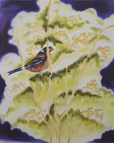 Finch in the bushes von Julia Hofstetter, Malerei kaufen auf Singulart