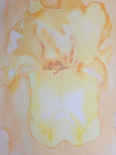 Desert echo by Julia Hofstetter, Work on Paper for Sale on Singulart