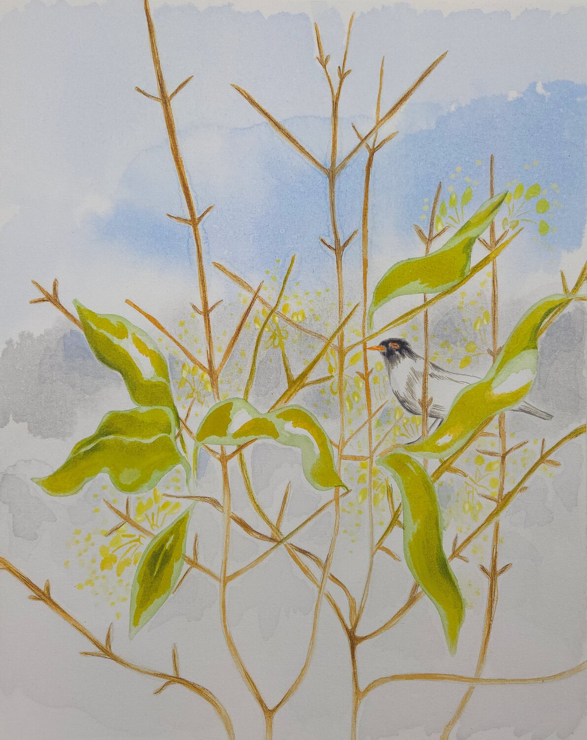 Blackbird in the bushes Julia Hofstetter Originalgemälde zu verkaufen