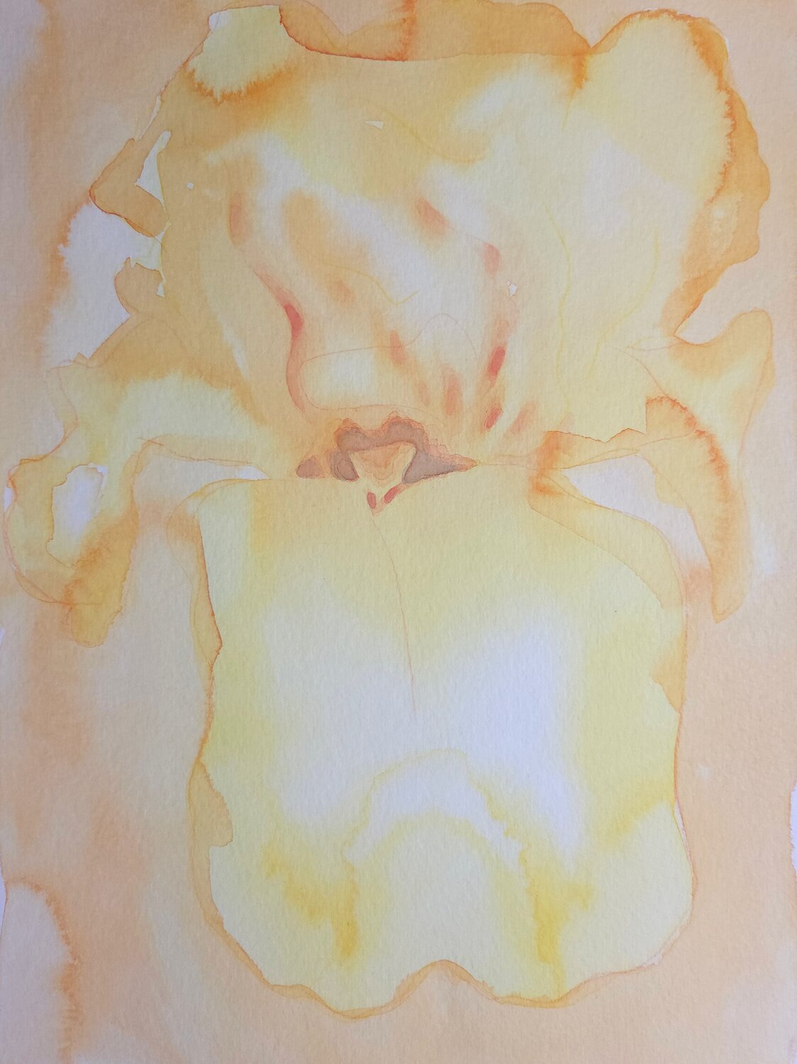 Desert echo Julia Hofstetter