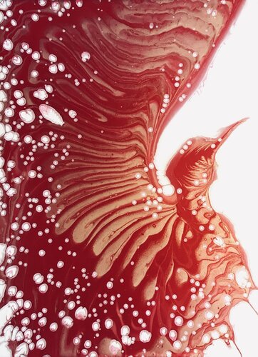 "Araba Fenice" de Agnese Ferretti, Pintura a la venta en Singulart