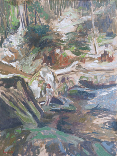 Sous la cascade van Rémy Sirope, Schilderij te koop op Singulart