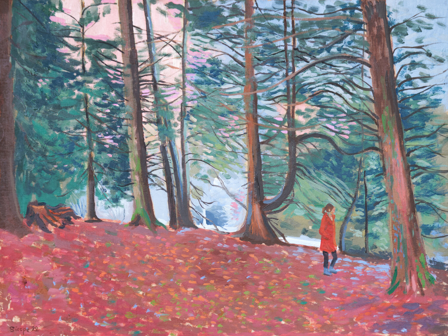 Promenade en foret Rémy Sirope