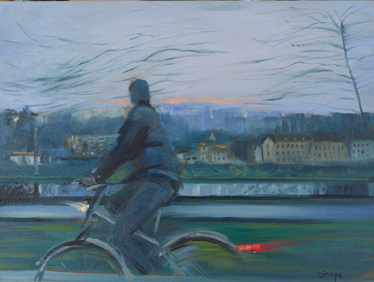 Retour chez soi Rémy Sirope