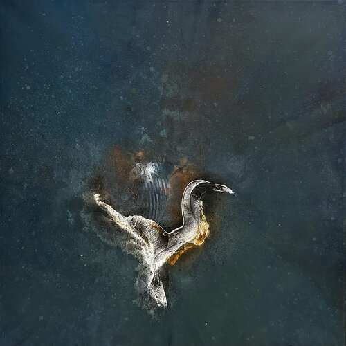 Fallen Angel by Peppe Postorino, Painting for Sale on Singulart