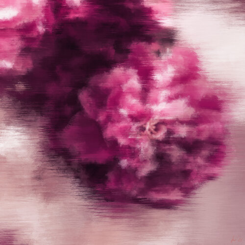 Pink Peony by Susanne Wissnet, Print for Sale on Singulart