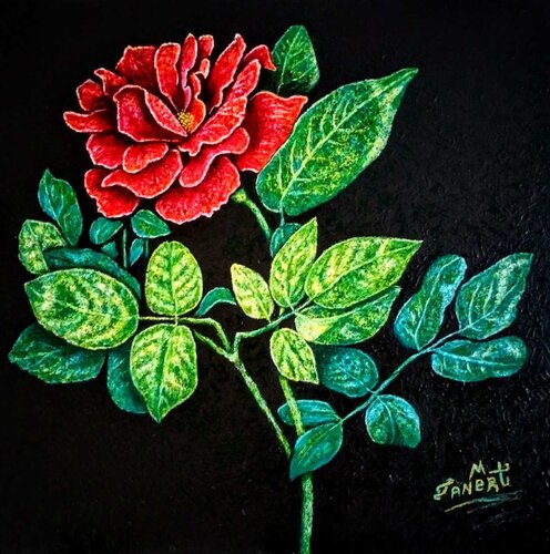 Red rose van Taner Mert, Schilderij te koop op Singulart