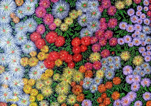 A coloful extravaganza von Taner Mert, Malerei kaufen auf Singulart