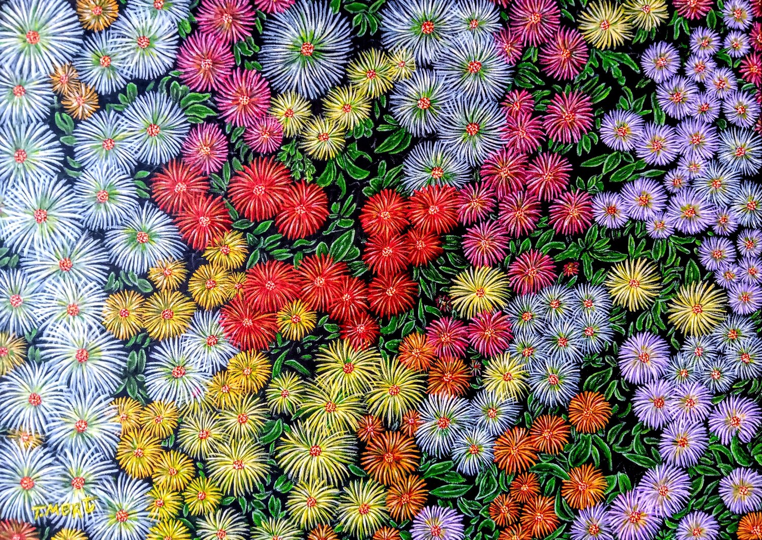 A coloful extravaganza Taner Mert