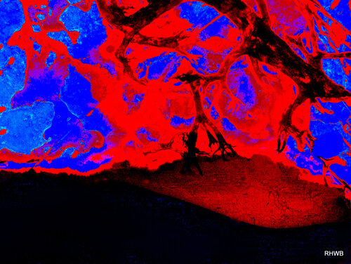 Klimawandel 1 von Reinhard Brand, Druck kaufen auf Singulart