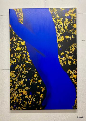 blueman in goldshower di Reinhard Brand, Stampa in vendita su Singulart