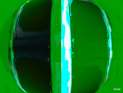 Green for ever Reinhard Brand