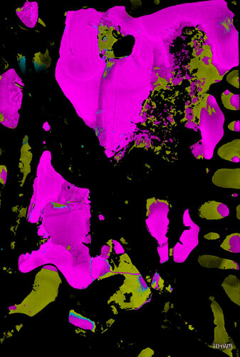 Ohne Titel 7 - gelb violett di Reinhard Brand, Stampa in vendita su Singulart