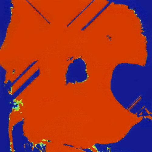 Flower 1 Orange van Reinhard Brand, Afdruk te koop op Singulart