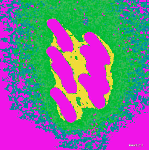 Lebensbaum 15-1 di Reinhard Brand, Stampa in vendita su Singulart