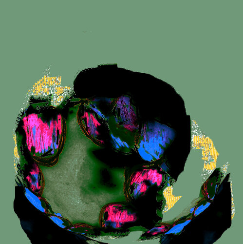 AEmulticolor Runde Form by Reinhard Brand, Print for Sale on Singulart