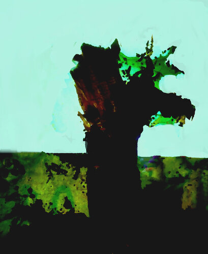 Klimawandel 3 van Reinhard Brand, Afdruk te koop op Singulart