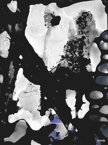 AEx11 - schwarz weiß grau van Reinhard Brand, Afdruk te koop op Singulart