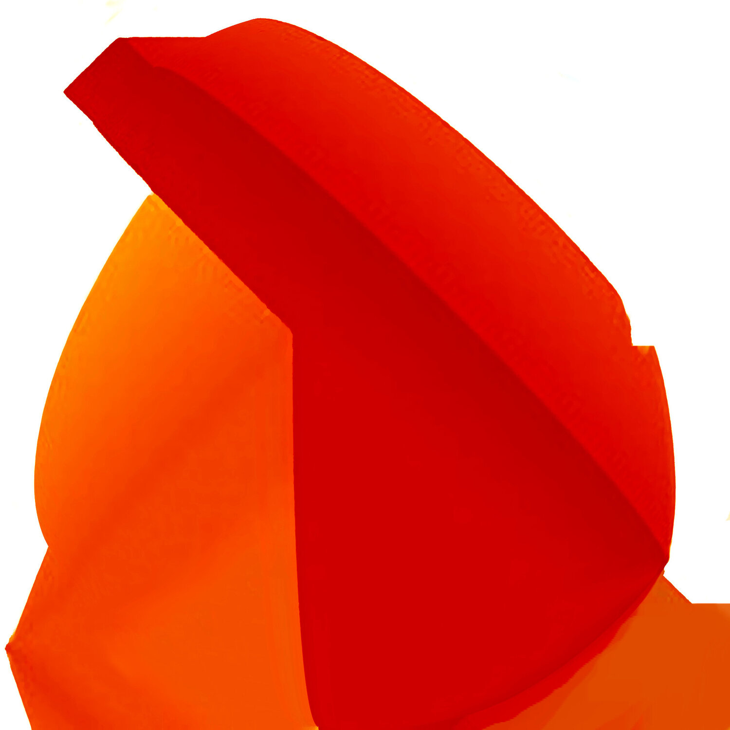 Large Form RedOrange Reinhard Brand