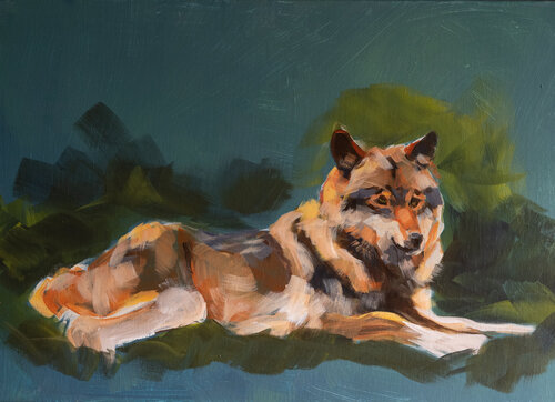 Der ruhende Wolf di Axel Jung, Pittura in vendita su Singulart