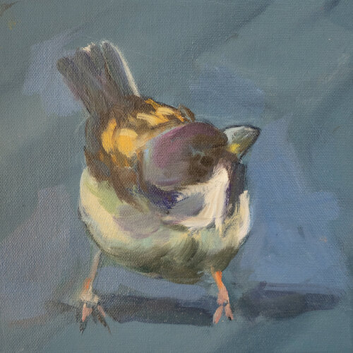 Spatz Nummer 5 par Axel Jung, Peinture en vente sur Singulart