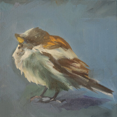 Spatz Nummer 4 par Axel Jung, Peinture en vente sur Singulart