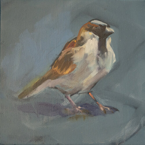 Spatz Nummer 1 par Axel Jung, Peinture en vente sur Singulart