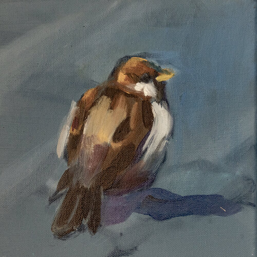 Spatz Nummer 3 par Axel Jung, Peinture en vente sur Singulart