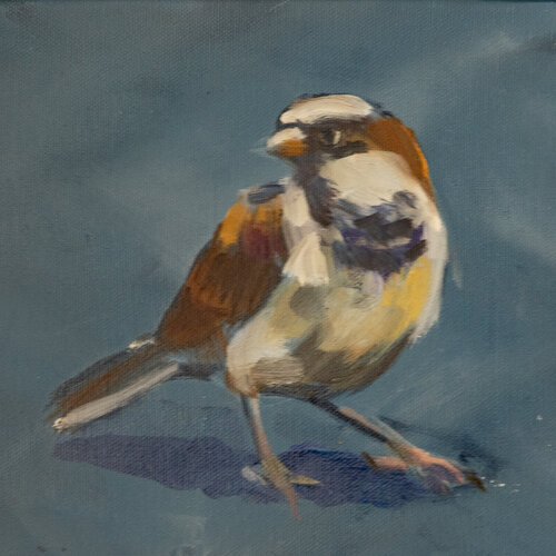 Spatz Nummer 2 par Axel Jung, Peinture en vente sur Singulart