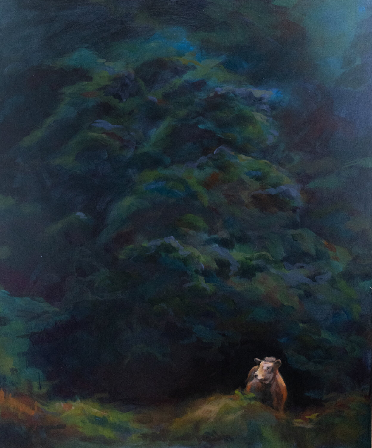 Die Kuh im Wald Axel Jung
