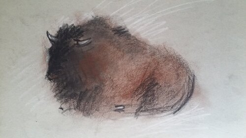 Bisonte di Mariano Cebrián Olleros, Disegno in vendita su Singulart