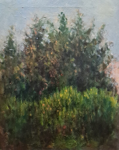 Paisaje árboles y arbustos von Mariano Cebrián Olleros, Malerei kaufen auf Singulart