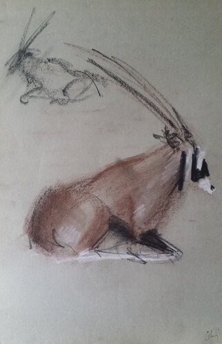 Antílope di Mariano Cebrián Olleros, Disegno in vendita su Singulart