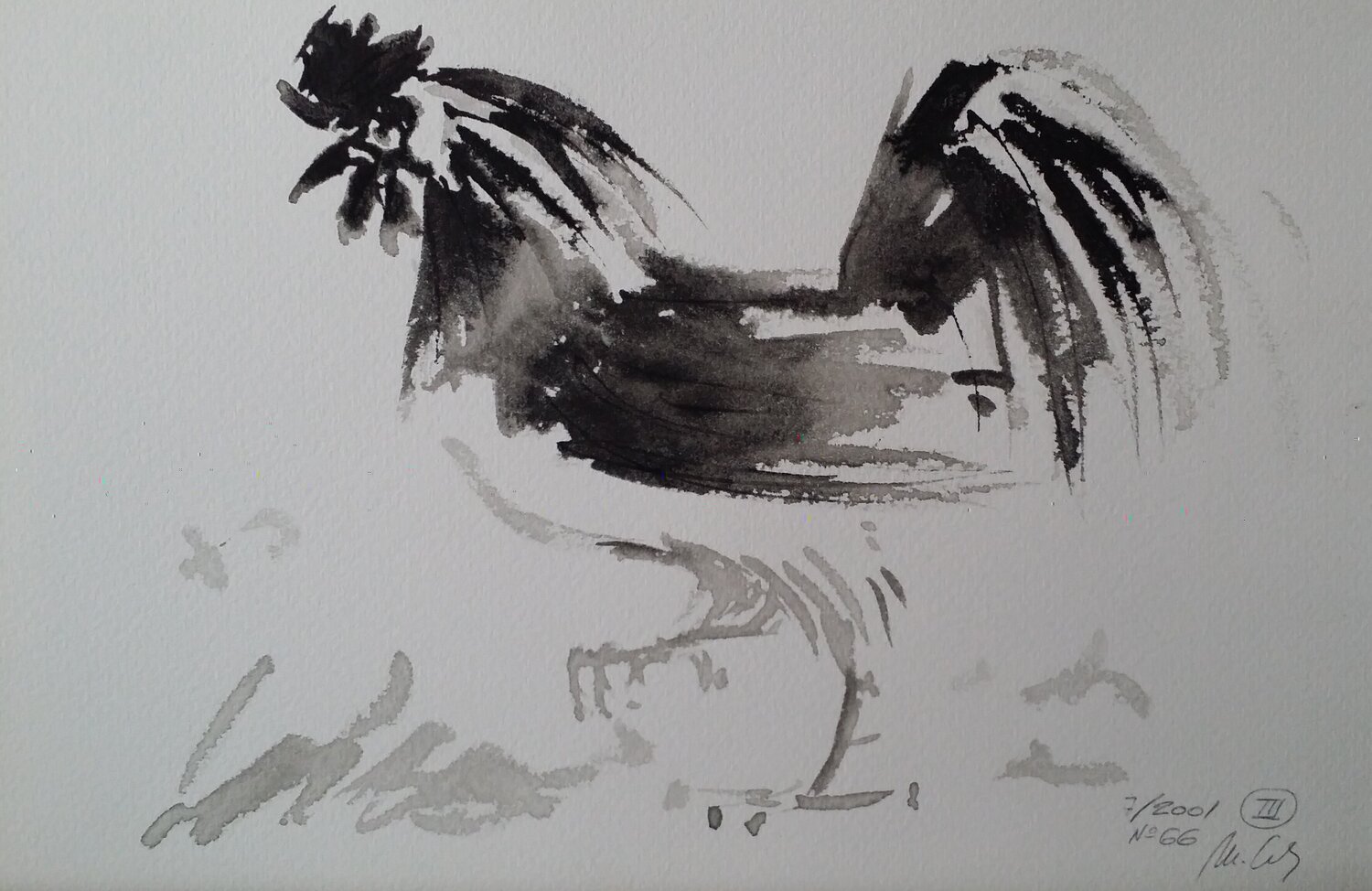 Gallo Mariano Cebrián Olleros