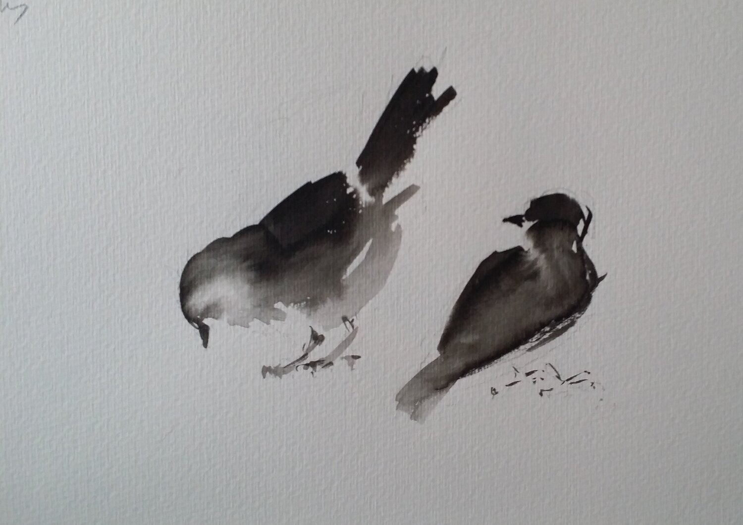 Pareja de Pájaros Mariano Cebrián Olleros Zeichnungen zu verkaufen