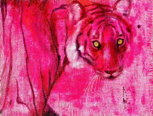 Shocking Tiger von Francesco Calistri, Malerei kaufen auf Singulart