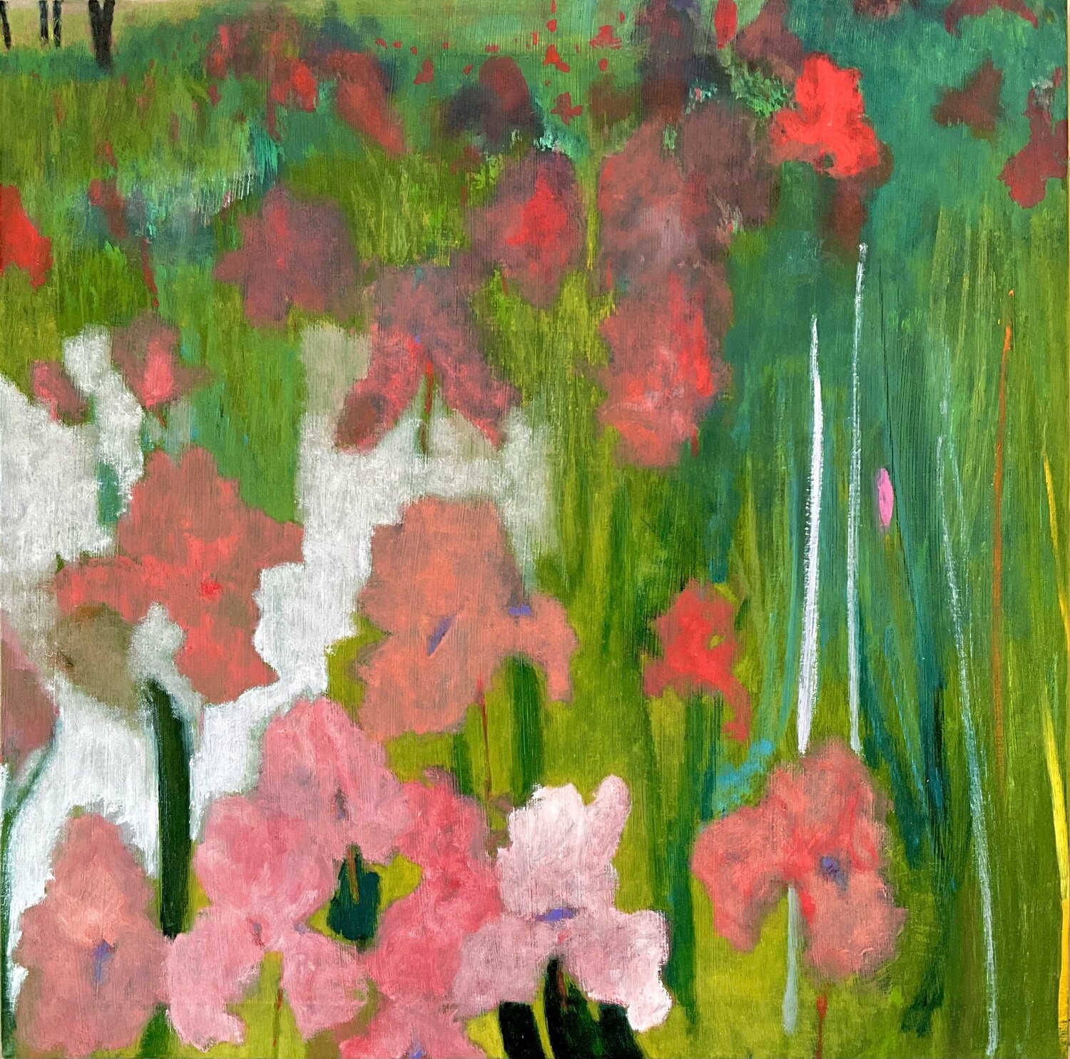 Iris Francesco Calistri